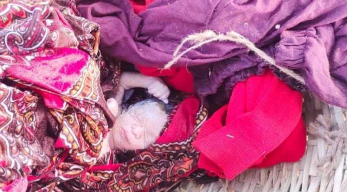 ਮਾਨਵਤਾ ਹੋਈ ਸ਼ਰਮਸਾਰ : ਜਲੰਧਰ ਦੇ ਪ੍ਰਤਾਪ ਬਾਗ ਨੇੜੇ ਝਾੜੀਆਂ ‘ਚੋਂ ਮਿਲੀ ਨਵਜੰਮੀ ਬੱਚੀ ਦੀ ਲਾਸ਼