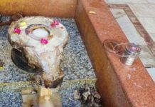 ਹੁਣ ਜਲੰਧਰ ਦੇ ਸ਼ਿਵ ਮੰਦਿਰ ‘ਚ ਹੋਈ ਬੇਅਦਬੀ, ਸ਼ਿਵਲਿੰਗ ਉਠਾ ਕੇ ਲੈ ਗਏ ਆਰੋਪੀ