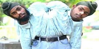 ਸੋਹਣਾ-ਮੋਹਣਾ ਨੂੰ ਮਿਲੀ ਸਰਕਾਰੀ ਨੌਕਰੀ, ਜੁੜੇ ਸਰੀਰ ਵਾਲੇ ਭਰਾਵਾਂ ਨੂੰ ਮਾਪਿਆਂ ਨੇ ਬਚਪਨ ‘ਚ ਦਿੱਤਾ ਸੀ ਛੱਡ