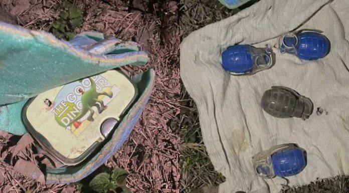 ਪੰਜਾਬ ਪੁਲਿਸ ਨੇ ਗੁਰਦਾਸਪੁਰ ਤੋਂ ਟਿਫਿਨ ਬੰਬ ਤੇ 4 ਹੱਥ ਗੋਲੇ ਕੀਤੇ ਬਰਾਮਦ