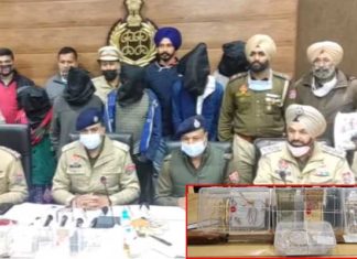 ਹੁਸਿ਼ਆਰਪੁਰ : ਦਿਨਦਿਹਾੜੇ ਟਰਾਂਸਪੋਰਟਰ ਦੇ ਘਰ ਹੋਈ ਚੋਰੀ, ਪੁਲਿਸ ਵੱਲੋਂ 1 ਮਹਿਲਾ ਸਣੇ 5 ਕਾਬੂ