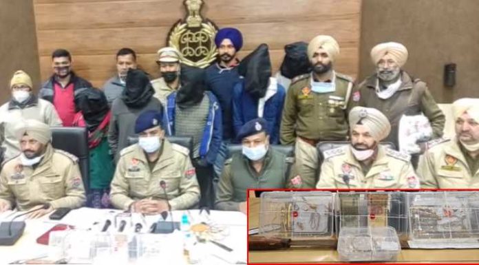 ਹੁਸਿ਼ਆਰਪੁਰ : ਦਿਨਦਿਹਾੜੇ ਟਰਾਂਸਪੋਰਟਰ ਦੇ ਘਰ ਹੋਈ ਚੋਰੀ, ਪੁਲਿਸ ਵੱਲੋਂ 1 ਮਹਿਲਾ ਸਣੇ 5 ਕਾਬੂ