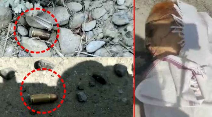 ਹੁਸ਼ਿਆਰਪੁਰ : ਪੰਜਾਬ, ਹਿਮਾਚਲ ਸਰਹੱਦ ਨੇੜੇ ਚਲੀਆਂ ਗੋਲੀਆਂ, ਮਾਂ ਦੀ ਮੌਤ, ਬੇਟਾ ਜ਼ਖਮੀ