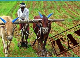 ਕੇਂਦਰ ਸਰਕਾਰ ਹੁਣ ਕਿਸਾਨਾਂ ਤੋਂ ਵੀ ਵਸੂਲਣਾ ਚਾਹੁੰਦੀ ਹੈ ਟੈਕਸ, ਦੇਖੋ ਕੀ ਹੈ ਤੈਆਰੀ