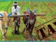 ਕੇਂਦਰ ਸਰਕਾਰ ਹੁਣ ਕਿਸਾਨਾਂ ਤੋਂ ਵੀ ਵਸੂਲਣਾ ਚਾਹੁੰਦੀ ਹੈ ਟੈਕਸ, ਦੇਖੋ ਕੀ ਹੈ ਤੈਆਰੀ