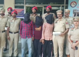 ਨਾਜਾਇਜ਼ ਹਥਿਆਰਾਂ ਸਣੇ ਤਿੰਨ ਕਾਬੂ, 1 ਪਿਸਟਲ, 2 ਦੇਸੀ ਕੱਟੇ ਤੇ ਕਾਰਤੂਸ ਬਰਾਮਦ