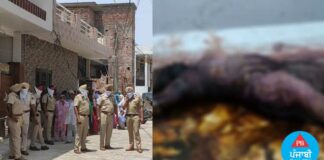 ਇੰਗਲੈਂਡ ਤੋਂ ਡਿਪੋਰਟ ਹੋ ਕੇ ਆਏ ਪੁੱਤ ਨੇ ਮਾਂ ਦਾ ਕੀਤਾ ਬੇਰਹਿਮੀ ਨਾਲ ਕਤਲ