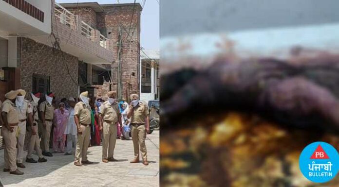 ਇੰਗਲੈਂਡ ਤੋਂ ਡਿਪੋਰਟ ਹੋ ਕੇ ਆਏ ਪੁੱਤ ਨੇ ਮਾਂ ਦਾ ਕੀਤਾ ਬੇਰਹਿਮੀ ਨਾਲ ਕਤਲ