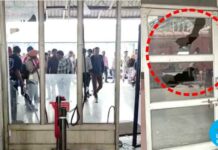 ਠੇਕੇ ‘ਤੇ ਫੌਜ ਭਰਤੀ ਦੀ ਸਕੀਮ ਖਿਲਾਫ ਲੁਧਿਆਣਾ ਰੇਲਵੇ ਸਟੇਸ਼ਨ ‘ਤੇ ਤੋੜਫੋੜ, ਪੁਲਿਸ ਦੀ ਗੱਡੀਆਂ ਭੰਨ੍ਹੀਆਂ