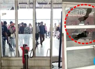 ਠੇਕੇ ‘ਤੇ ਫੌਜ ਭਰਤੀ ਦੀ ਸਕੀਮ ਖਿਲਾਫ ਲੁਧਿਆਣਾ ਰੇਲਵੇ ਸਟੇਸ਼ਨ ‘ਤੇ ਤੋੜਫੋੜ, ਪੁਲਿਸ ਦੀ ਗੱਡੀਆਂ ਭੰਨ੍ਹੀਆਂ