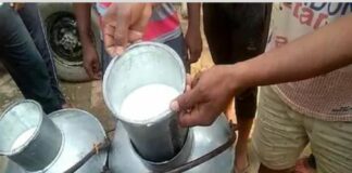 ਸੈਂਪਲਾਂ ਚ ਖੁਲਾਸਾ : ਦੁੱਧ ਦੇ ਨਾਂ ‘ਤੇ ਲੋਕਾਂ ਨੂੰ ਵੇਚਿਆ ਜਾ ਰਿਹੈ ਪਾਣੀ
