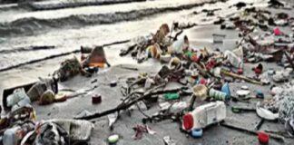 1 ਜੁਲਾਈ ਤੋਂ ਪਲਾਸਟਿਕ ਦੀਆਂ ਇਹ ਚੀਜ਼ਾਂ ਪੂਰੀ ਤਰ੍ਹਾਂ ਬੈਨ