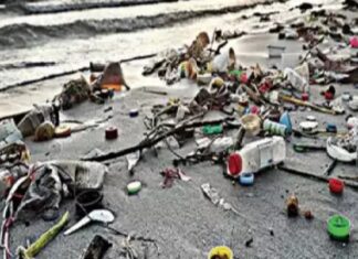 1 ਜੁਲਾਈ ਤੋਂ ਪਲਾਸਟਿਕ ਦੀਆਂ ਇਹ ਚੀਜ਼ਾਂ ਪੂਰੀ ਤਰ੍ਹਾਂ ਬੈਨ