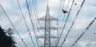 ਝੋਨੇ ਦੀ ਲੁਆਈ ਤੋਂ ਪਹਿਲਾਂ ਹੀ ਡੂੰਘਾ ਹੋਇਆ ਬਿਜਲੀ ਸੰਕਟ, ਪੇਂਡੂ ਇਲਾਕਿਆਂ ‘ਚ ਹੋਰ ਵਧਣਗੇ ਬਿਜਲੀ ਕੱਟ