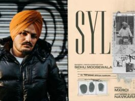 ਯੂ-ਟਿਊਬ ਤੋਂ ਹਟਾਇਆ ਪੰਜਾਬ ਦੇ ਹੱਕਾਂ ਦੀ ਗੱਲ ਕਰਦਾ ਐੱਸਵਾਈਐੱਲ ਗੀਤ