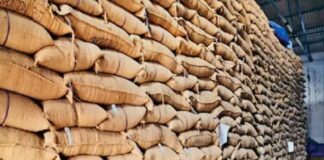 ਅਨਾਜ ’ਤੇ ਡਾਕਾ : ਪੰਜਾਬ ਦਾ ਅਨਾਜ ਚੂਹੇ ਖਾ ਗਏ ਜਾਂ ਅਫਸਰ, ਸਰਕਾਰ ਨੇ 7 ਦਿਨਾਂ ’ਚ ਮੰਗਿਆ ਜਵਾਬ