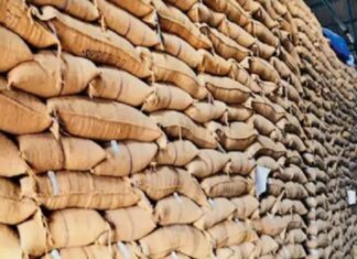 ਅਨਾਜ ’ਤੇ ਡਾਕਾ : ਪੰਜਾਬ ਦਾ ਅਨਾਜ ਚੂਹੇ ਖਾ ਗਏ ਜਾਂ ਅਫਸਰ, ਸਰਕਾਰ ਨੇ 7 ਦਿਨਾਂ ’ਚ ਮੰਗਿਆ ਜਵਾਬ