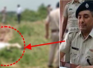 ਹਰਿਆਣਾ ’ਚ ਮਾਈਨਿੰਗ ਮਾਫੀਆ ਨੇ ਡੀਐੱਸਪੀ ’ਤੇ ਚਾੜ੍ਹਿਆ ਡੰਪਰ, ਡੀਐੱਸਪੀ ਦੀ ਮੌਕੇ ‘ਤੇ ਮੌਤ, ਡੰਪਰ ਦਾ ਕਲੀਨਰ ਤੇ ਡਰਾਈਵਰ ਗ੍ਰਿਫਤਾਰ