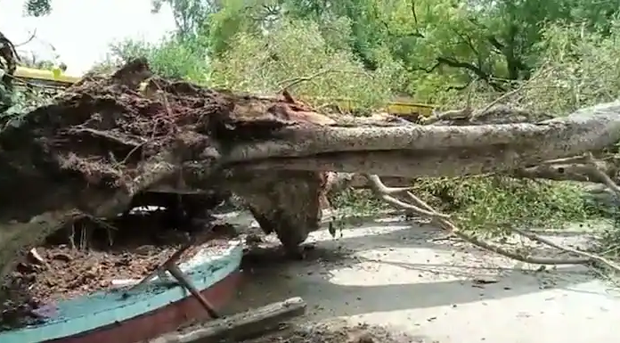 ਵੱਡਾ ਹਾਦਸਾ: ਚੰਡੀਗੜ੍ਹ ਦੇ ਸਕੂਲ ‘ਚ ਦਰੱਖਤ ਡਿੱਗਣ ਨਾਲ 1 ਵਿਦਿਆਰਥੀ ਦੀ ਮੌਤ, ਕਈ ਜ਼ਖਮੀ