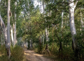 ਮੱਤੇਵਾੜਾ ਉਪਰ ਅੱਜ ਪਬਲਿਕ ਐਕਸ਼ਨ ਕਮੇਟੀ ਸੀਐਮ ਮਾਨ ਨਾਲ ਕਰੇਗੀ ਮੁਲਾਕਾਤ