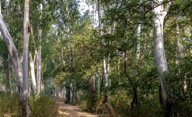 ਮੱਤੇਵਾੜਾ ਉਪਰ ਅੱਜ ਪਬਲਿਕ ਐਕਸ਼ਨ ਕਮੇਟੀ ਸੀਐਮ ਮਾਨ ਨਾਲ ਕਰੇਗੀ ਮੁਲਾਕਾਤ