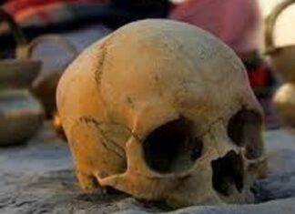 MP : 3 ਕੁੜੀਆਂ ਪਿੱਛੋਂ ਹੋਏ ਮੁੰਡੇ ਦੀ ਸੁੱਖਣਾ ਪੂਰੀ ਕਰਨ ਲਈ ਪਿਓ ਨੇ ਦਿੱਤੀ ਨੌਜਵਾਨ ਦੀ ਬਲੀ