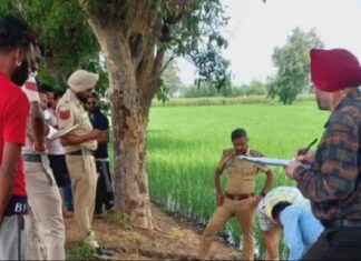 ਜਲੰਧਰ : ਦੋ ਪਿੰਡਾਂ ’ਚ ਮਿਲੀਆਂ ਲਾਸ਼ਾਂ, ਇਕ ਨੂੰ ਤੇਜਧਾਰ ਹਥਿਆਰਾਂ ਨਾਲ ਵੱਢਿਆ, ਇਕ ਨੂੰ ਮਾਰ ਕੇ ਸਾੜਨ ਦੀ ਕੋਸ਼ਿਸ਼