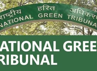 Ludhiana : ਡੰਪ ਸਾਈਟ ‘ਤੇ ਕੂੜੇ ਨੂੰ ਅੱਗ ਲੱਗਣ ‘ਤੇ ਹੋਈਆਂ 7 ਮੌਤਾਂ ‘ਤੇ ਸਖ਼ਤ ਕਾਰਵਾਈ, ਨਗਰ ਨਿਗਮ ਨੂੰ 100 ਕਰੋੜ ਜੁਰਮਾਨਾ