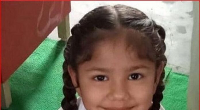 ਜਲੰਧਰ : ਪਿੰਡ ਬਾਠ ਦੀ ਪੰਜ ਸਾਲਾ ਬੱਚੀ ਦੀ ਸੱਪ ਦੇ ਡੰਗਣ ਨਾਲ ਮੌਤ