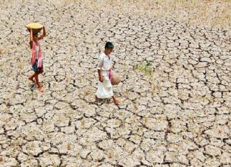 ਮੀਂਹ ਨਹੀਂ ਪਿਆ ਤਾਂ ਇੰਦਰ ਦੇਵਤਾ ਖਿਲਾਫ ਕਰ ਦਿੱਤੀ ਸ਼ਿਕਾਇਤ, ਮੀਂਹ ਨਾ ਪੈਣ ਕਾਰਨ ਪਰੇਸ਼ਾਨ ਹੈ ਕਿਸਾਨ