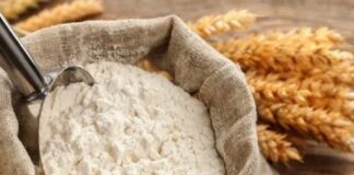 ਘਰ-ਘਰ ਆਟਾ ਪਹੁੰਚਾਉਣ ਦੀ ਸਕੀਮ ਲਈ ਸਰਕਾਰ ਨੇ ਖਿੱਚੀ ਤਿਆਰੀ, GPS ਤੇ ਕੈਮਰੇ ਲੱਗੇ ਵਾਹਨ ਕਰਨਗੇ ਡਿਲੀਵਰੀ