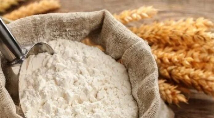 ਘਰ-ਘਰ ਆਟਾ ਪਹੁੰਚਾਉਣ ਦੀ ਸਕੀਮ ਲਈ ਸਰਕਾਰ ਨੇ ਖਿੱਚੀ ਤਿਆਰੀ, GPS ਤੇ ਕੈਮਰੇ ਲੱਗੇ ਵਾਹਨ ਕਰਨਗੇ ਡਿਲੀਵਰੀ