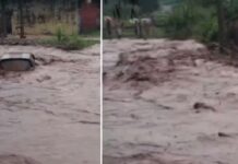 ਚੰਡੀਗੜ੍ਹ ਨੇੜੇ ਵੱਡਾ ਹਾਦਸਾ : ਪਟਿਆਲਾ ਦੀ ਰਾਵ ’ਚ 8 ਲੋਕ ਵਹੇ, 6 ਨੂੰ ਬਚਾਇਆ ਗਿਆ, ਪਤੀ-ਪਤਨੀ ਅਜੇ ਵੀ ਲਾਪਤਾ