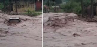 ਚੰਡੀਗੜ੍ਹ ਨੇੜੇ ਵੱਡਾ ਹਾਦਸਾ : ਪਟਿਆਲਾ ਦੀ ਰਾਵ ’ਚ 8 ਲੋਕ ਵਹੇ, 6 ਨੂੰ ਬਚਾਇਆ ਗਿਆ, ਪਤੀ-ਪਤਨੀ ਅਜੇ ਵੀ ਲਾਪਤਾ