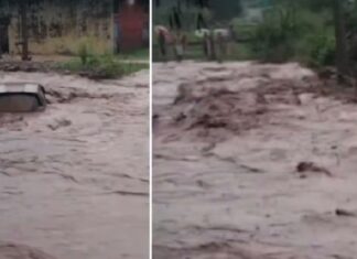 ਚੰਡੀਗੜ੍ਹ ਨੇੜੇ ਵੱਡਾ ਹਾਦਸਾ : ਪਟਿਆਲਾ ਦੀ ਰਾਵ ’ਚ 8 ਲੋਕ ਵਹੇ, 6 ਨੂੰ ਬਚਾਇਆ ਗਿਆ, ਪਤੀ-ਪਤਨੀ ਅਜੇ ਵੀ ਲਾਪਤਾ