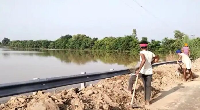 ਬਿਆਸ ਦਰਿਆ ‘ਚ ਪਾਣੀ ਵਧਣ ਨਾਲ ਮੰਡ ਖੇਤਰ ਡੁੱਬਿਆ, ਸੈਂਕੜੇ ਏਕੜ ਫਸਲ ਤਬਾਹ