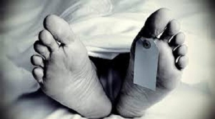 ਕੈਨੇਡਾ ‘ਚ ਪੰਜਾਬੀ ਨੌਜਵਾਨ ਦੀ ਦਰਦਨਾਕ ਮੌ.ਤ, ਸਟੱਡੀ ਵੀਜ਼ੇ ‘ਤੇ ਵਿਦੇਸ਼ ਗਿਆ ਸੀ ਦਿਲਪ੍ਰੀਤ ਸਿੰਘ