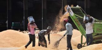 ਦਾਣਾ ਮੰਡੀਆਂ ‘ਚ ਕਰੋੜਾਂ ਦਾ ਘਪਲਾ, ਟਰੱਕ ਦੀ ਥਾਂ ਮਿਲੇ ਸਕੂਟਰ-ਬਾਈਕ ਦੇ ਨੰਬਰ, 6 ਅਫ਼ਸਰਾਂ ਨੂੰ ਨੋਟਿਸ