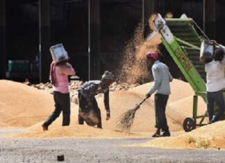 ਦਾਣਾ ਮੰਡੀਆਂ ‘ਚ ਕਰੋੜਾਂ ਦਾ ਘਪਲਾ, ਟਰੱਕ ਦੀ ਥਾਂ ਮਿਲੇ ਸਕੂਟਰ-ਬਾਈਕ ਦੇ ਨੰਬਰ, 6 ਅਫ਼ਸਰਾਂ ਨੂੰ ਨੋਟਿਸ