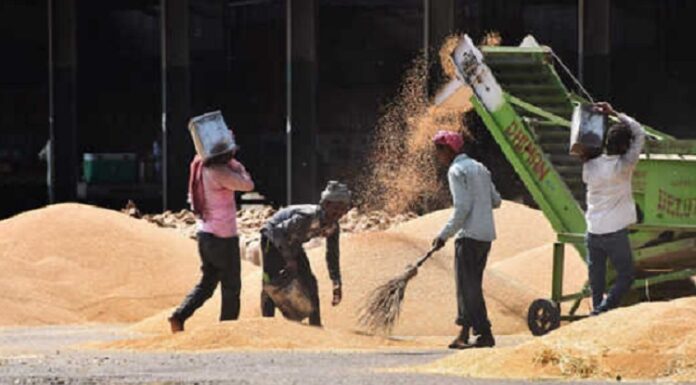 ਦਾਣਾ ਮੰਡੀਆਂ ‘ਚ ਕਰੋੜਾਂ ਦਾ ਘਪਲਾ, ਟਰੱਕ ਦੀ ਥਾਂ ਮਿਲੇ ਸਕੂਟਰ-ਬਾਈਕ ਦੇ ਨੰਬਰ, 6 ਅਫ਼ਸਰਾਂ ਨੂੰ ਨੋਟਿਸ