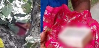 ਇਕ ਹੋਰ ਬੇਅਦਬੀ : ਹੁਣ ਫਗਵਾੜਾ ’ਚ ਖਿੱਲਰੇ ਮਿਲੇ ਸ੍ਰੀ ਗੁਟਕਾ ਸਾਹਿਬ ਦੇ ਅੰਗ