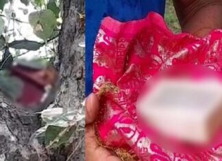 ਇਕ ਹੋਰ ਬੇਅਦਬੀ : ਹੁਣ ਫਗਵਾੜਾ ’ਚ ਖਿੱਲਰੇ ਮਿਲੇ ਸ੍ਰੀ ਗੁਟਕਾ ਸਾਹਿਬ ਦੇ ਅੰਗ