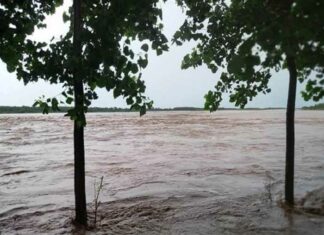 ਗੁਰਦਾਸਪੁਰ ‘ਚ ਹੜ੍ਹ ਨੂੰ ਲੈ ਕੇ ਅਲਰਟ, ਰਾਵੀ ਦਰਿਆ ‘ਚ ਪਾਣੀ ਛੱਡਣ ਦੀ ਤਿਆਰੀ, ਦਰਿਆ ਦੇ ਕੰਢੇ ਰਹਿਣ ਵਾਲੇ ਲੋਕਾਂ ਨੂੰ ਸੁਰੱਖਿਅਤ ਥਾਵਾਂ ‘ਤੇ ਪਹੁੰਚਾਉਣ ਦੇ ਹੁਕਮ