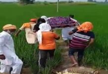 ਤਰਨਤਾਰਨ : ਐੱਸਸੀ ਭਾਈਚਾਰੇ ਨਾਲ ਭੇਦਭਾਵ ਬਰਕਰਾਰ; ਝੋਨੇ ਦੀ ਫ਼ਸਲ ‘ਚੋਂ ਲੰਘ ਕੇ ਕਰਨਾ ਪਿਆ ਸਸਕਾਰ, ਦੋ ਕਰਮਾਂ ਦੇ ਰਸਤੇ ਨੂੰ ਵੀ ਵੱਡੀਆਂ ਜਾਤਾਂ ਵਾਲਿਆਂ ਨੇ ਜ਼ਬਰਦਸਤੀ ਵਾਹਿਆ