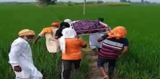 ਤਰਨਤਾਰਨ : ਐੱਸਸੀ ਭਾਈਚਾਰੇ ਨਾਲ ਭੇਦਭਾਵ ਬਰਕਰਾਰ; ਝੋਨੇ ਦੀ ਫ਼ਸਲ ‘ਚੋਂ ਲੰਘ ਕੇ ਕਰਨਾ ਪਿਆ ਸਸਕਾਰ, ਦੋ ਕਰਮਾਂ ਦੇ ਰਸਤੇ ਨੂੰ ਵੀ ਵੱਡੀਆਂ ਜਾਤਾਂ ਵਾਲਿਆਂ ਨੇ ਜ਼ਬਰਦਸਤੀ ਵਾਹਿਆ