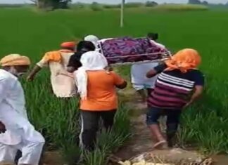 ਤਰਨਤਾਰਨ : ਐੱਸਸੀ ਭਾਈਚਾਰੇ ਨਾਲ ਭੇਦਭਾਵ ਬਰਕਰਾਰ; ਝੋਨੇ ਦੀ ਫ਼ਸਲ ‘ਚੋਂ ਲੰਘ ਕੇ ਕਰਨਾ ਪਿਆ ਸਸਕਾਰ, ਦੋ ਕਰਮਾਂ ਦੇ ਰਸਤੇ ਨੂੰ ਵੀ ਵੱਡੀਆਂ ਜਾਤਾਂ ਵਾਲਿਆਂ ਨੇ ਜ਼ਬਰਦਸਤੀ ਵਾਹਿਆ