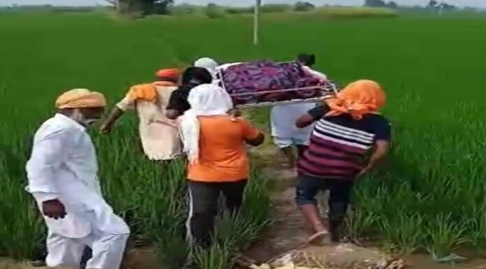 ਤਰਨਤਾਰਨ : ਐੱਸਸੀ ਭਾਈਚਾਰੇ ਨਾਲ ਭੇਦਭਾਵ ਬਰਕਰਾਰ; ਝੋਨੇ ਦੀ ਫ਼ਸਲ ‘ਚੋਂ ਲੰਘ ਕੇ ਕਰਨਾ ਪਿਆ ਸਸਕਾਰ, ਦੋ ਕਰਮਾਂ ਦੇ ਰਸਤੇ ਨੂੰ ਵੀ ਵੱਡੀਆਂ ਜਾਤਾਂ ਵਾਲਿਆਂ ਨੇ ਜ਼ਬਰਦਸਤੀ ਵਾਹਿਆ