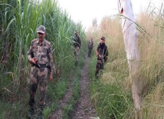 ਗੁਰਦਾਸਪੁਰ ‘ਚ ਭਾਰਤ-ਪਾਕਿ ਸਰਹੱਦ ‘ਤੇ ਦੇਖਿਆ ਪਾਕਿਸਤਾਨੀ ਡਰੋਨ, BSF ਨੇ ਕੀਤੀ ਫਾਇਰਿੰਗ; ਤਲਾਸ਼ੀ ਮੁਹਿੰਮ ਜਾਰੀ ਹੈ