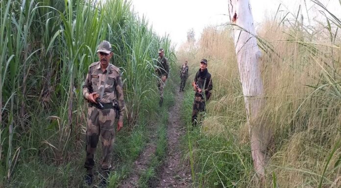 ਗੁਰਦਾਸਪੁਰ ‘ਚ ਭਾਰਤ-ਪਾਕਿ ਸਰਹੱਦ ‘ਤੇ ਦੇਖਿਆ ਪਾਕਿਸਤਾਨੀ ਡਰੋਨ, BSF ਨੇ ਕੀਤੀ ਫਾਇਰਿੰਗ; ਤਲਾਸ਼ੀ ਮੁਹਿੰਮ ਜਾਰੀ ਹੈ