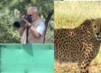 PM ਮੋਦੀ ਨੇ ਕੁਨੋ ਨੈਸ਼ਨਲ ਪਾਰਕ ‘ਚ ਛੱਡੇ 8 ਚੀਤੇ, ਕਿਹਾ- ਭਾਰਤ ਵਾਤਾਵਰਨ ਦੇ ਨਾਲ-ਨਾਲ ਹੋਰ ਵਿਕਾਸ ਕਰ ਸਕਦੈ